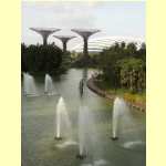 gardens18207.jpg